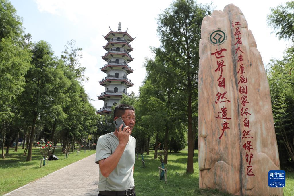 皇冠线上登录